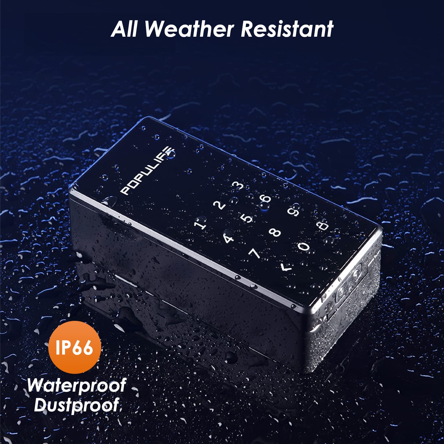 Electronic Keybox